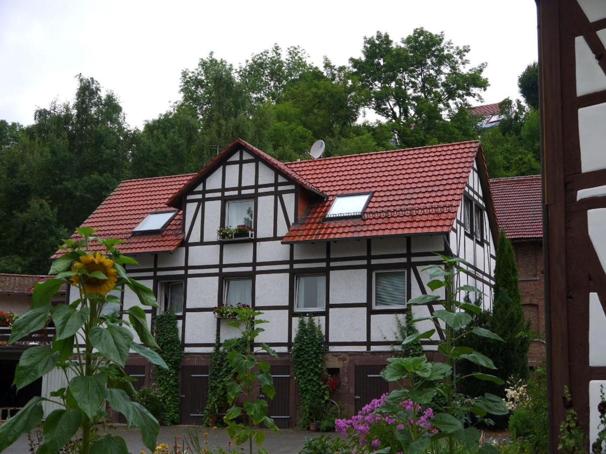 Ferienwohnungen Am Campingplatz Trendelburg Extérieur photo